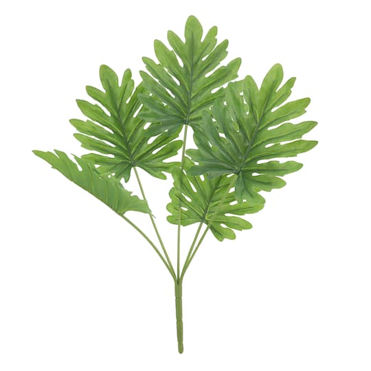 Green Philodendron Bush by Ashland&#xAE;